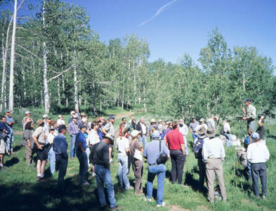 Sustaining Aspen in Western Landscape | Global Trophic Cascades Program